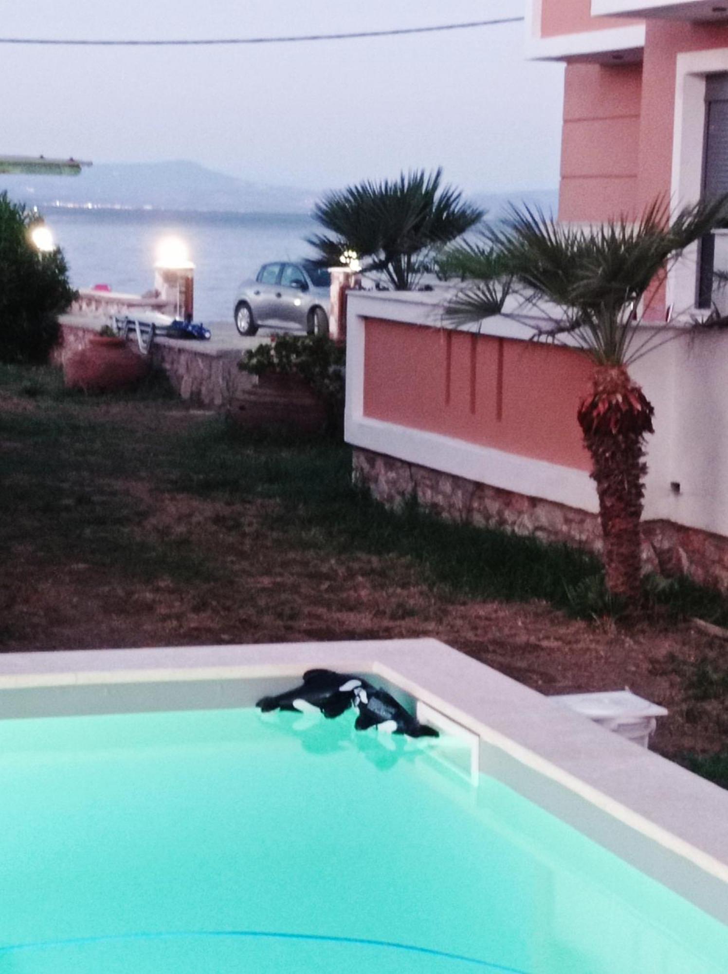 Nitelli's Skala Neon Kydonion